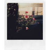 Polaroid i-Type Instant Color Film Pack, 8 Exposures