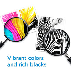 Hp 61 Ink Cartridge