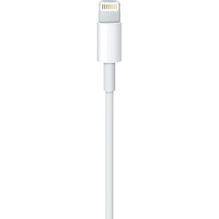 Apple Lightning To USB Cable 2M