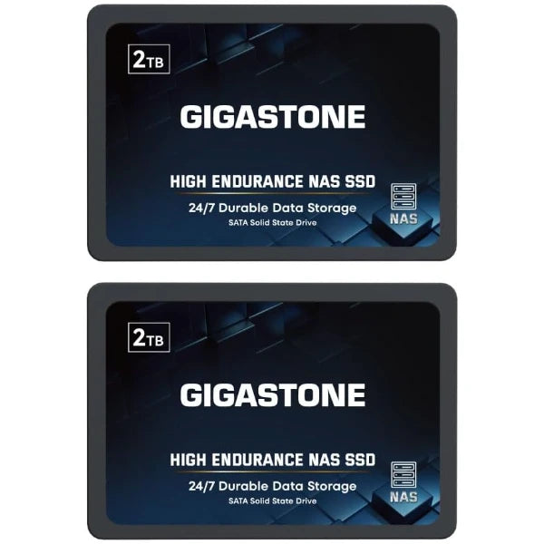 Gigastone High Endurance NAS SSD 2TB 2.5-Inch SATA III Internal Solid-State Drive (2-Pack)