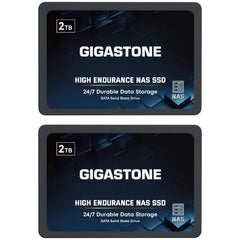 Gigastone High Endurance NAS SSD 2TB 2.5-Inch SATA III Internal Solid-State Drive (2-Pack)