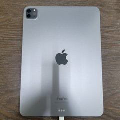Apple iPad Pro (الجيل الرابع) مقاس 11 بوصة مع خدمة Facetime Wi-Fi بسعة 256 جيجابايت فقط - رمادي فلكي