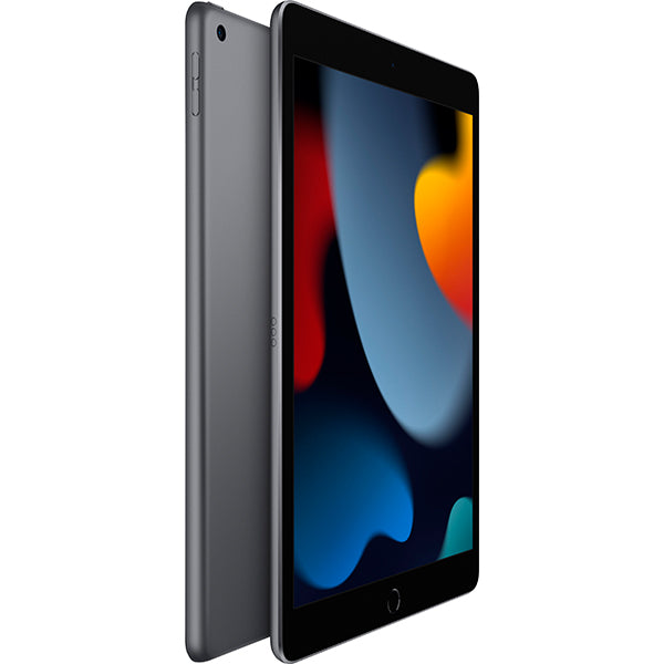 Apple iPad (9th Gen) 10.2-inch 3GB 256GB Wi-Fi Only With Facetime - Space Gray Price in Dubai