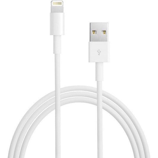 Apple Lightning To USB Cable 2M